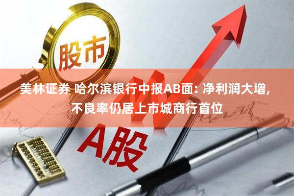 美林证券 哈尔滨银行中报AB面: 净利润大增, 不良率仍居上市城商行首位