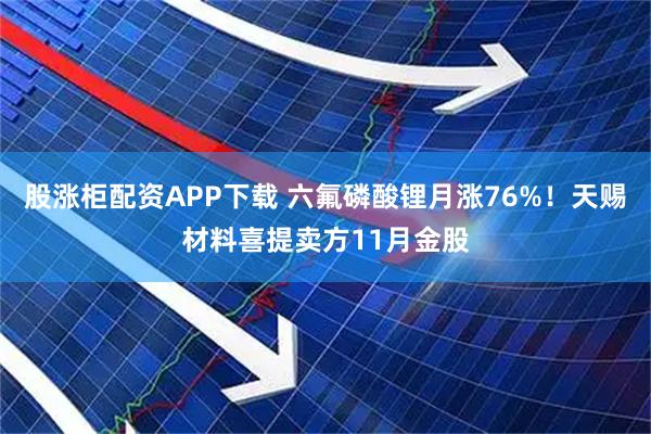 股涨柜配资APP下载 六氟磷酸锂月涨76%！天赐材料喜提卖方11月金股